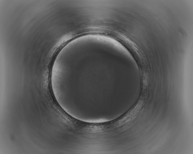 X0000111911411200909071147