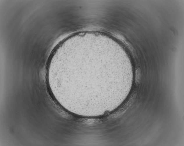 X0000111911412200909071147
