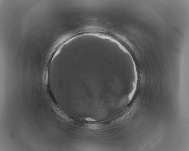 X0000111911413200909071147