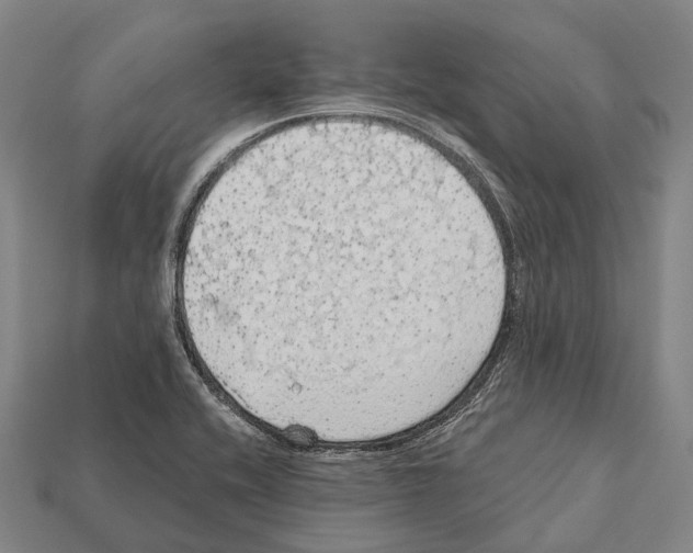 X0000111911416200909071147