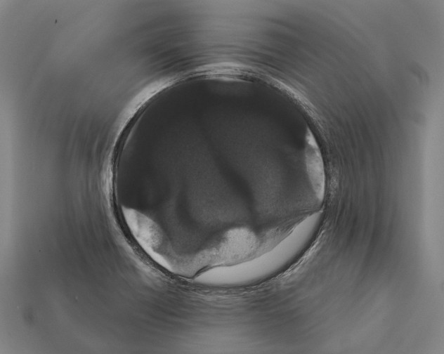 X0000111911418200909071147