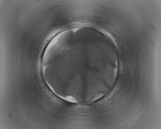 X0000111911419200909071147