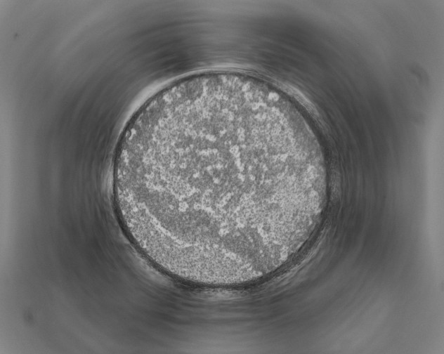 X0000111911420200909071147