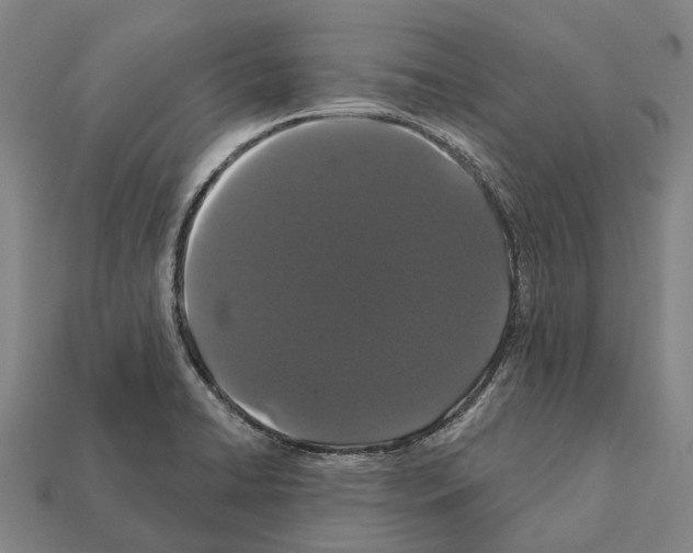 X0000111911422200909071147