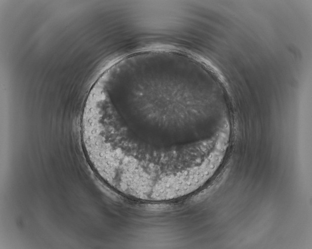 X0000111911425200909071147