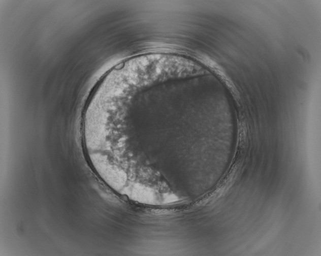 X0000111911427200909071147
