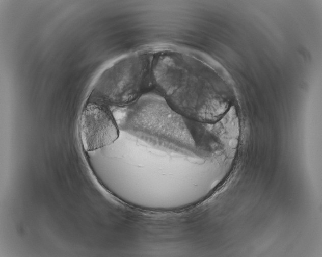 X0000111911429200909071147