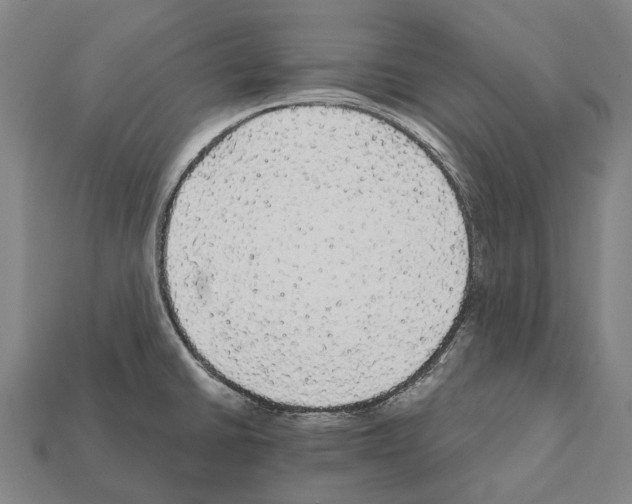 X0000111911430200909071147