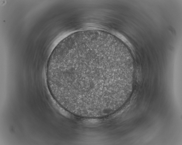 X0000111911431200909071147