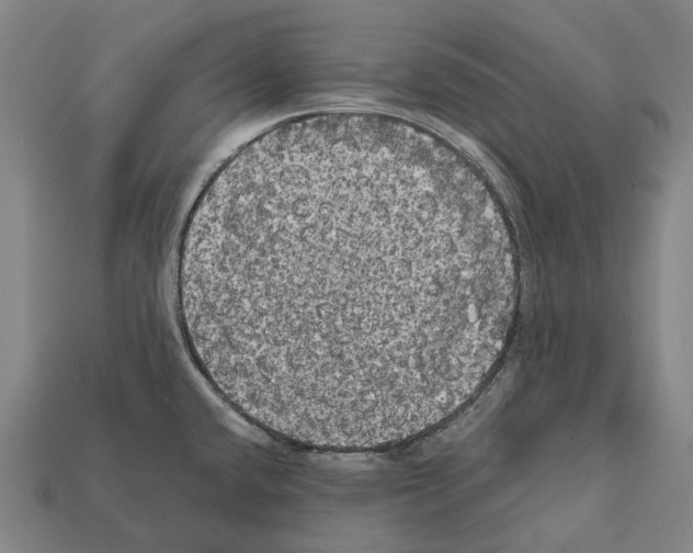 X0000111911432200909071147