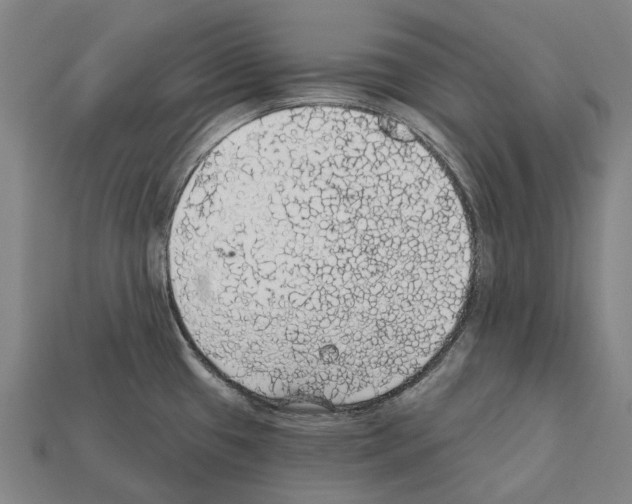 X0000111911433200909071147