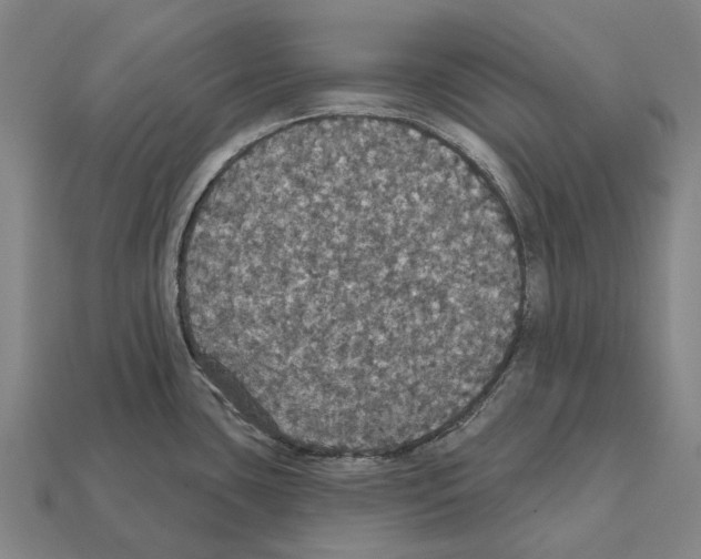X0000111911435200909071147