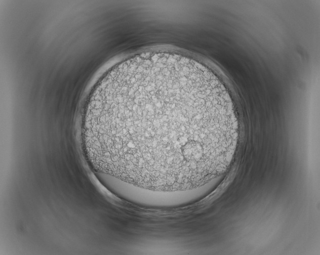 X0000111911438200909071147