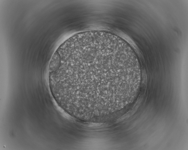 X0000111911439200909071147