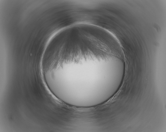X0000111911440200909071147
