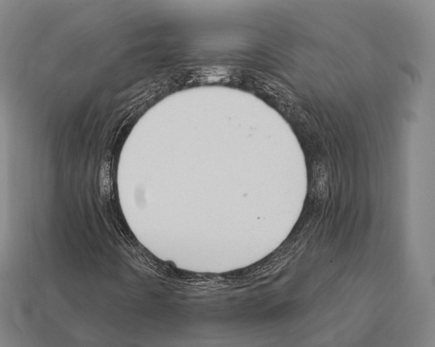 X0000111911442200909071147