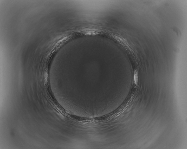 X0000111911444200909071147