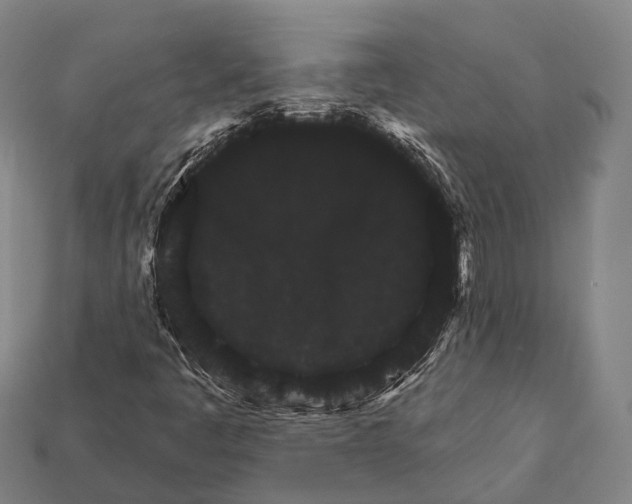 X0000111911445200909071147