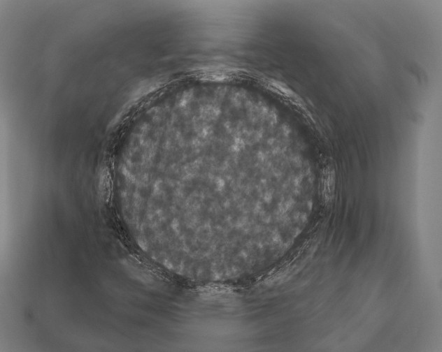 X0000111911446200909071147