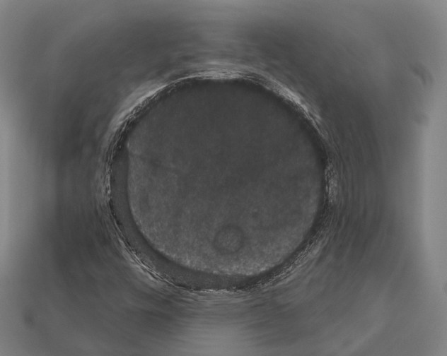 X0000111911448200909071147