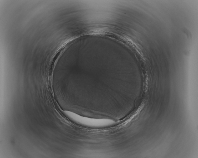 X0000111911449200909071147
