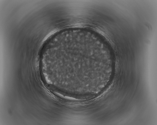 X0000111911450200909071147