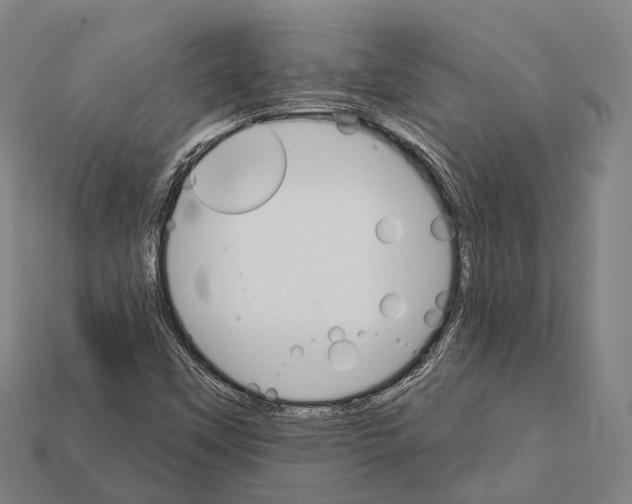X0000111911451200909071147