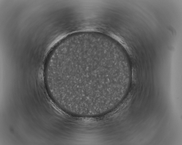 X0000111911452200909071147
