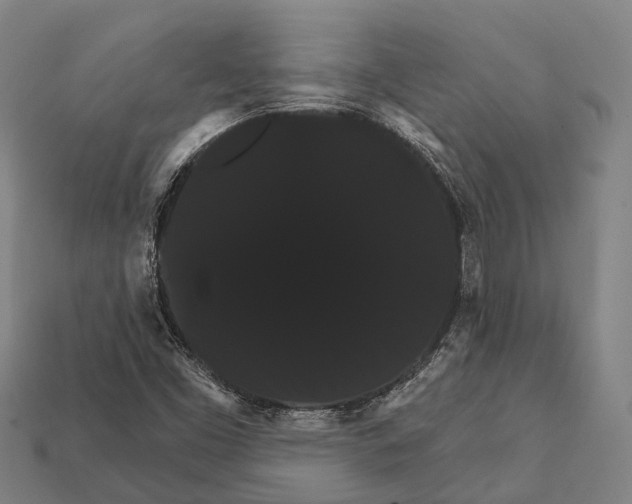 X0000111911453200909071147