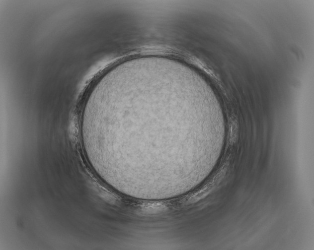 X0000111911454200909071147