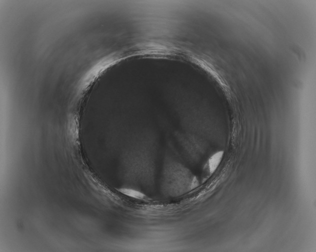 X0000111911455200909071147