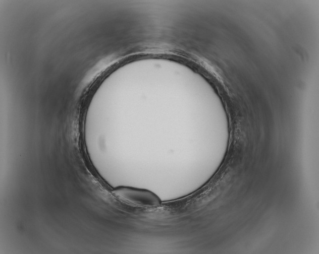 X0000111911456200909071147