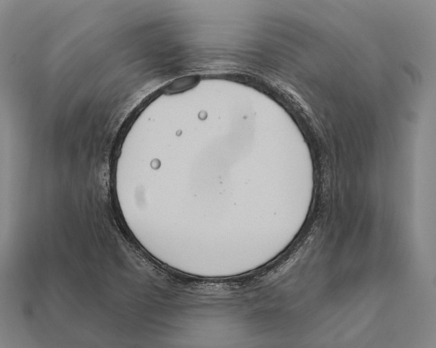 X0000111911457200909071147