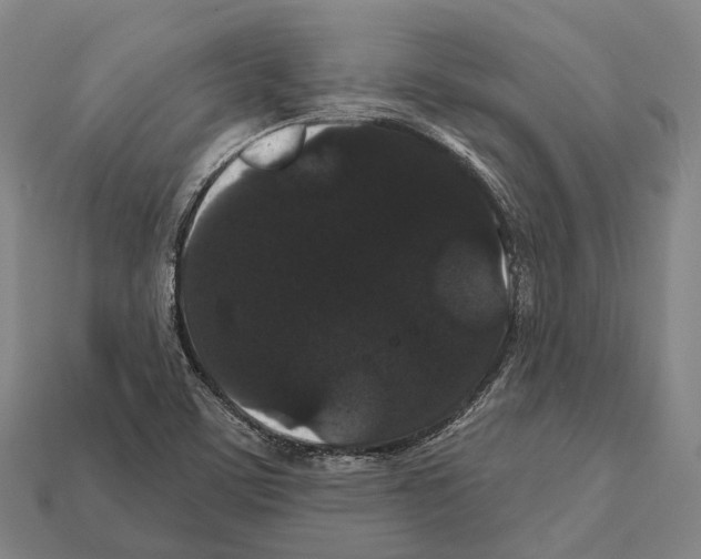X0000111911459200909071147