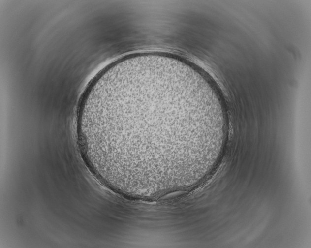 X0000111911460200909071147