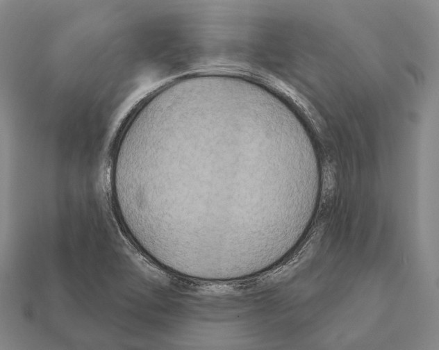X0000111911462200909071147