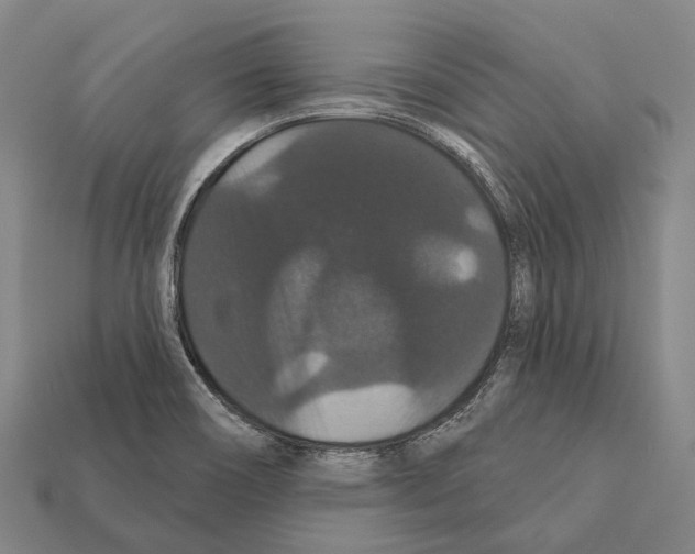 X0000111911466200909071147