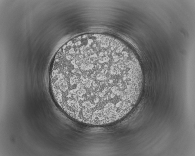 X0000111911467200909071147