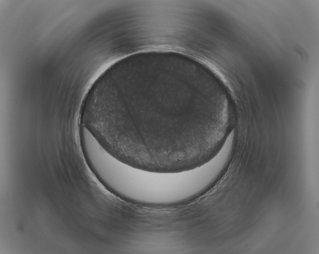 X0000111911468200909071147
