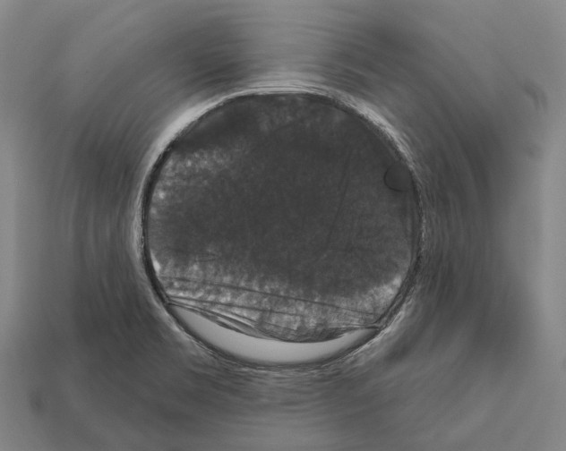 X0000111911469200909071147