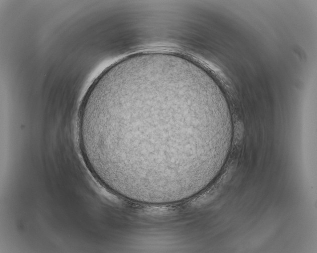 X0000111911470200909071146