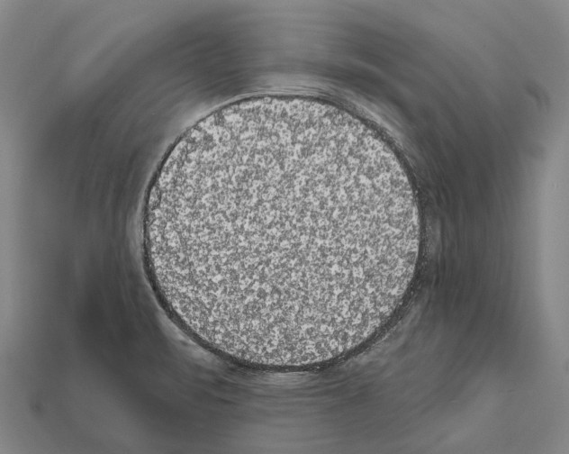 X0000111911471200909071146