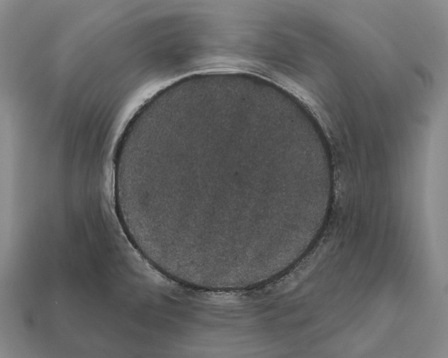 X0000111911472200909071146