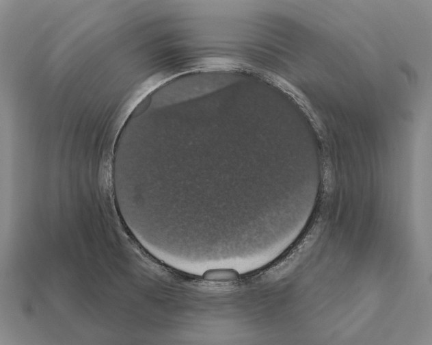 X0000111911473200909071146