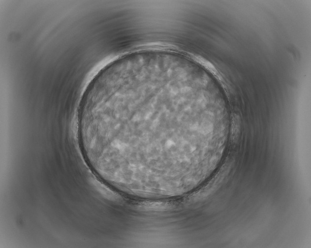 X0000111911474200909071146