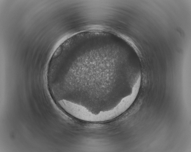 X0000111911475200909071146