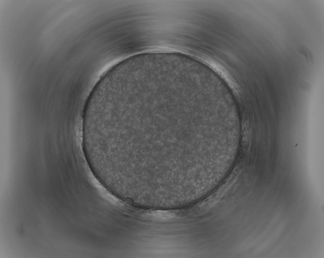 X0000111911476200909071146