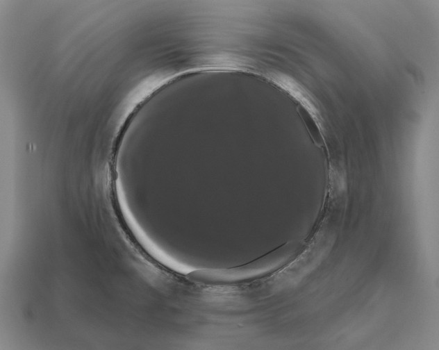 X0000111911477200909071146