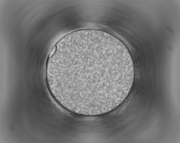 X0000111911479200909071146