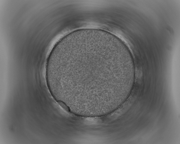 X0000111911480200909071146